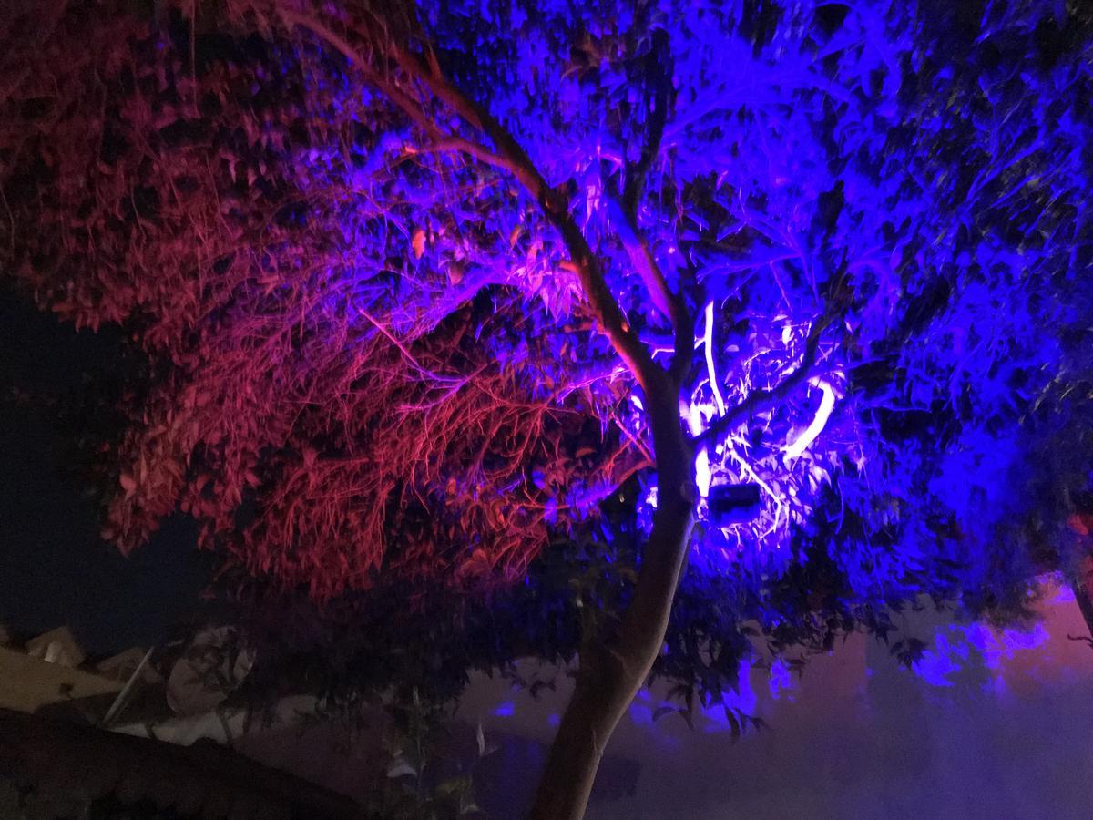 Kemer Manastir Hotel Εξωτερικό φωτογραφία